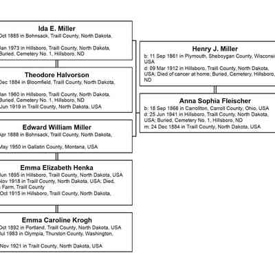 Family tree, Henry and Anna (Fleischer) Miller