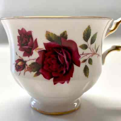 Cup & Saucer