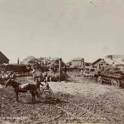 Threshing - C. L. Heiser Farm, Mayville, ND