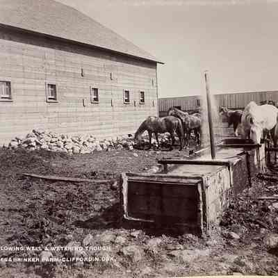 Jones & Brinker Farm, Clifford, ND