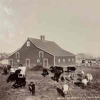 O. N. Ydstie Farm, Hillsboro, ND
