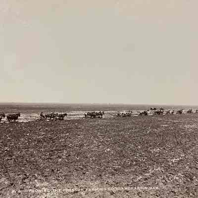 Plowing - The Preston Farming Co., Blanchard, ND