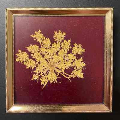 Pressed Flower in Square Frame