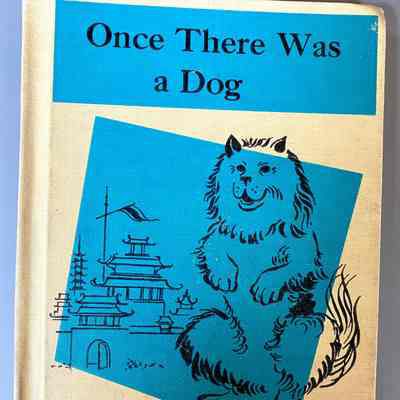 Once There Was a Dog