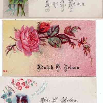 Anna, Adolph and Olie Nelson calling cards