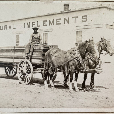 Wagon & Team of Horses