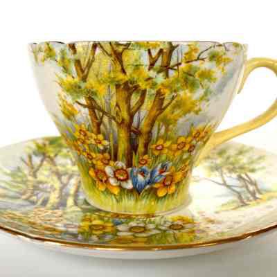 Cup and Saucer - Donated in memory of Edna Steinberger