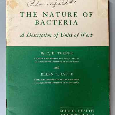 The Nature of Bacteria