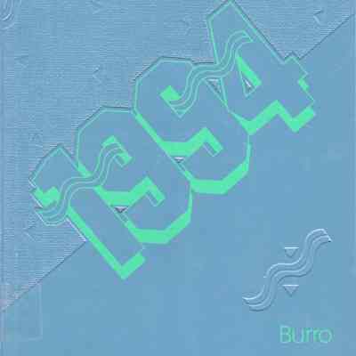 Hillsboro High School 1994 Yearbook