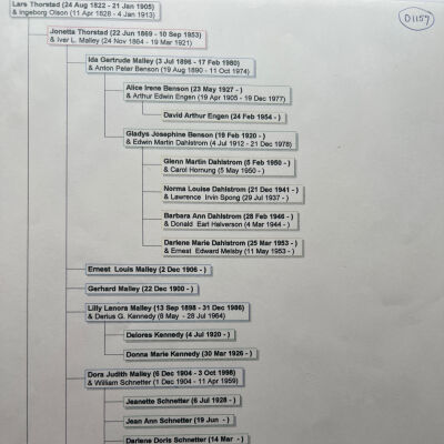 Thorstad family: Lars and Ingeborg (Olson) Thorstad, ancestors and descendants, of Traill County, North Dakota