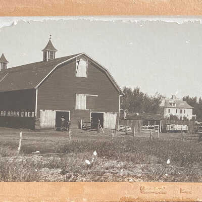 Unknown Farm