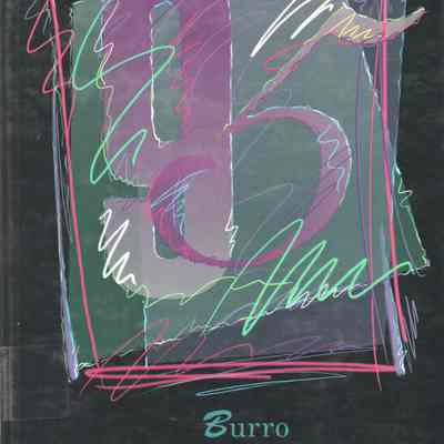 Hillsboro High School 1995 Yearbook