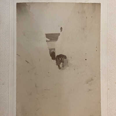 Winter Scene with Dog