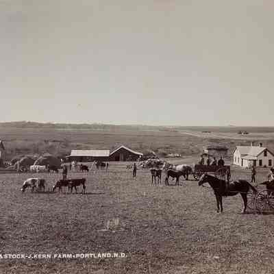 J Kern Farm, Portland, ND