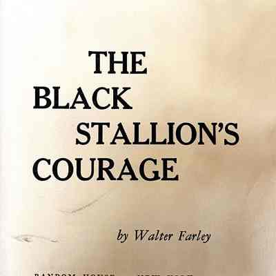 The Black Stallion's Courage