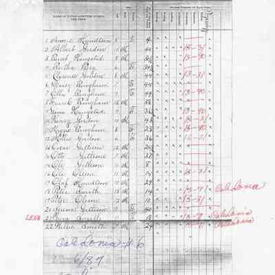 Caledonia School No. 6, Teacher's Report, 1887-06 (June)