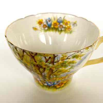 Cup and Saucer - Donated in memory of Edna Steinberger