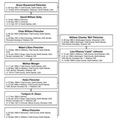 Family Tree, William and Lizzie (Johnson) Fleischer