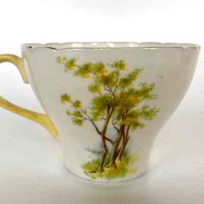 Cup and Saucer - Donated in memory of Edna Steinberger