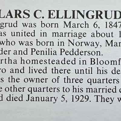 Traill County History, Vol. I, page 54: Lars and Martha (Tosti) Ellingrud