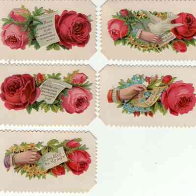 Stina O. Halvorson calling cards with floral flaps