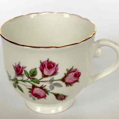 Cup and Saucer - Donated by Emma (Mrs. James) Allen
