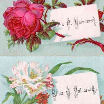 Calling cards: Stina O. Halvorsen (Mrs. Ole K. Hovet), late 1800s & early 1900s resident of Traill County, ND
