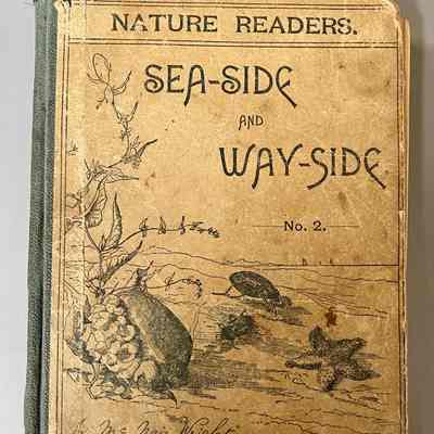 Nature Readers - Sea-Side and Way-Side No. 2