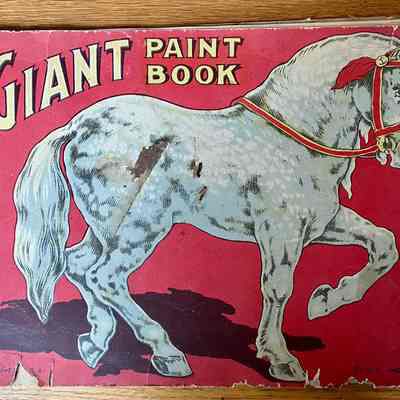 Giant Paint Book