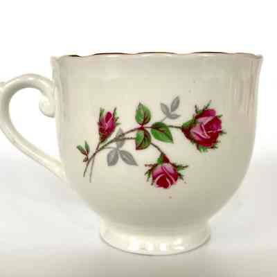 Cup and Saucer - Donated by Emma (Mrs. James) Allen