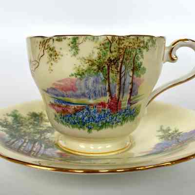Cup and Saucer