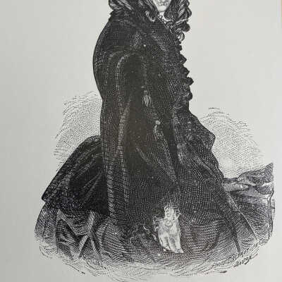 An illustration: Aurora Leigh - Lillie Plummer Library