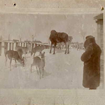 Dr. B. C. Taylor, Hillsboro Park- 1897