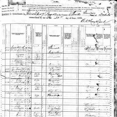 1880 US Census, N Caledonia Township (later Bingham), Traill County- ND, courtesy ancestry.com: Lars and Anna Gordon