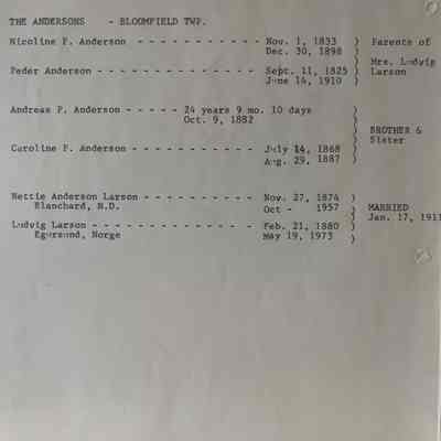 Anderson family: Peder & Nicoline Anderson, parents of Nettie (Mrs. Ludvig Larson) of Bloomfield Township, Traill County, ND