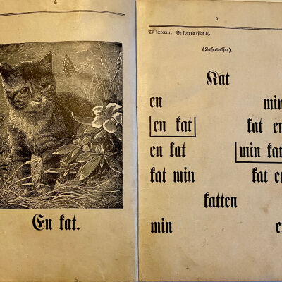 1899 Norwegian Primer