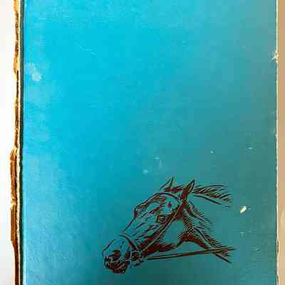 Old Bones - The Wonder Horse