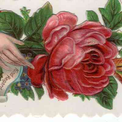 Calling cards: Bertha L. Hayward, written under embossed decorative flaps--donated by Alphie Sorlie of Hillsboro, ND