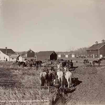H. Gronke Farm, Hillsboro, ND