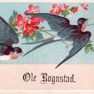 Calling card: Ole Rognstad, first cousin to Mathias Halvorson and Stina (Halvorson) Hovet, early residents of Traill County, ND