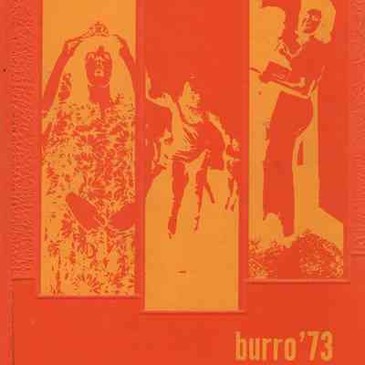 Hillsboro High School 1973 Yearbook