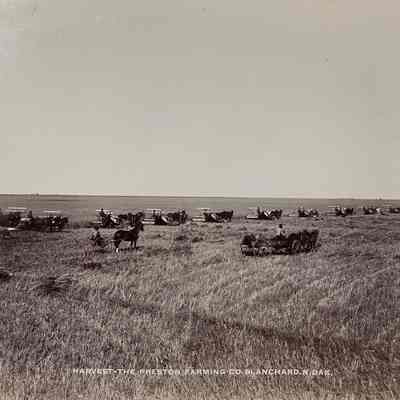 Harvest - Preston Farming Co., Blanchard, ND