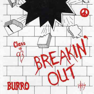 Hillsboro High School 1993 Yearbook