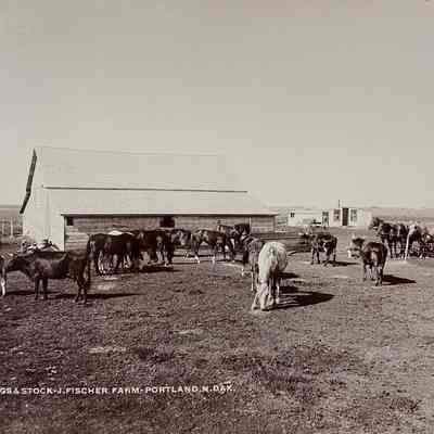 J. Fischer Farm, Portland, ND