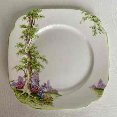Plate