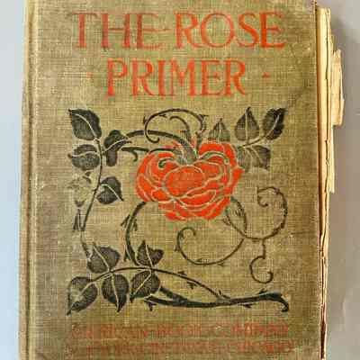 The Rose Primer