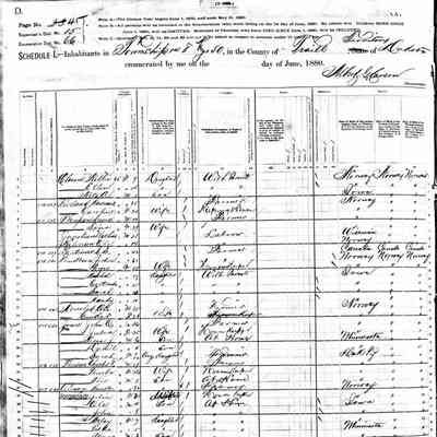1880 US Census, Traill County, Dakota Territory: Knudt Oleson and Julia (Jorgensdr.) Hovet and children