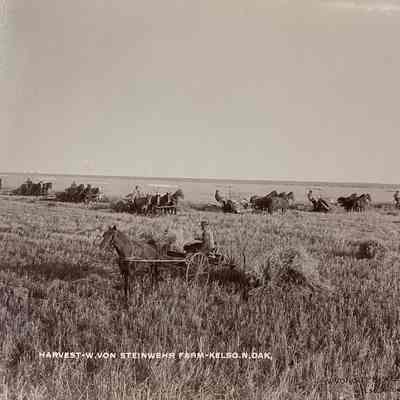 Harvest - W. Von Steinwehr Farm, Kelso, ND