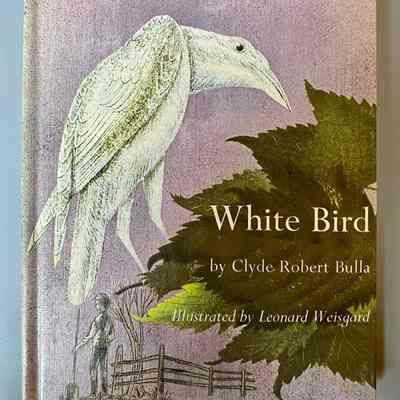 White Bird
