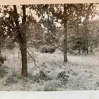 Site for training maneuvers by National Guard soldiers in the woodlands of Camp Claiborne, LA. Photo dated 1941.